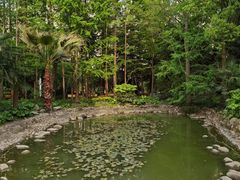 -苏州河梦清园环保主题公园