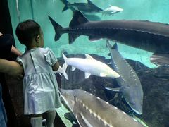 -太平洋海底世界