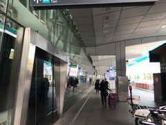 -国际邮轮中心码头(厦鼓码头)