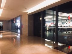 -Apple零售店(深圳益田假日广场店)