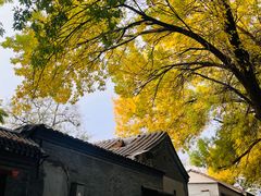 -北京国子监胡同