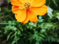 -天津东丽湖风景区