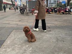 -万达广场(南昌红谷滩店)