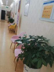 点击看大图 -海峡医疗美容医院