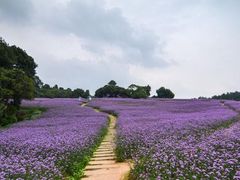 -保利石象湖景区