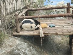 -泉州海丝野生动物世界