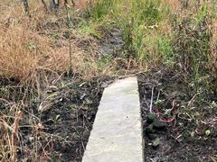 -马陆小张葡萄园农家乐