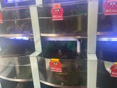 -七欣天香辣蟹火锅(扬州望月路店)