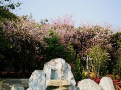 -小南山公园