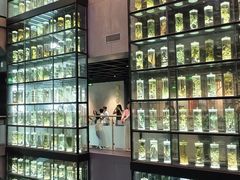 -广东中医药博物馆