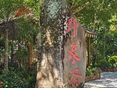 -野象谷景区