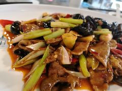泡椒仔姜鲜牛肝-伊兰麒兰馨园·川菜·清真馆(339电视塔店)
