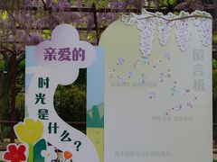 -嘉定紫藤园