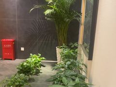 -黑松白鹿(金融街店)