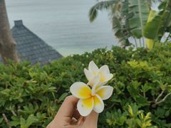 -日落吧·海景咖啡厅·餐酒吧·鸡尾酒·下午茶·乐队表演·浪漫夕阳·三亚文华东方酒店