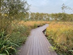 -永定河休闲森林公园