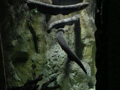 -多彩贵州城极地海洋世界