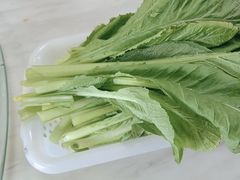 -麻奢鸽农庄·梦里水乡