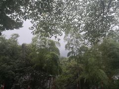 -杭州西湖风景名胜区-三生石