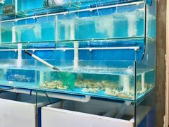 水产区-老虎滩大连海鲜烧烤(建邺云锦路总店)