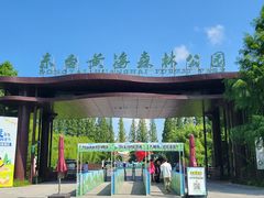 -黄海国家森林公园