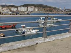 -大连老虎滩海洋公园