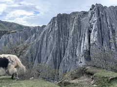 -墨石公园景区
