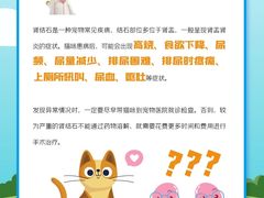 -瑞派申生动物医院·24H夜诊·国际动物医疗中心·骨外科(吴中路店)