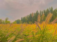 -汉长安城未央宫国家考古遗址公园