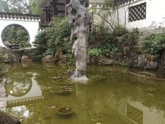 -南山植物园