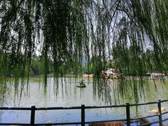 -莲湖公园