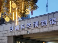 -陕西自然博物馆