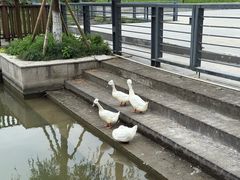 -苏州河梦清园环保主题公园