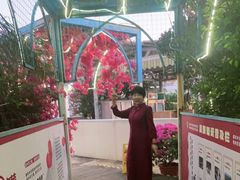 -马大胡子清真西北菜