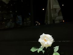 -赤宴·川菜(玉林店)