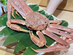 -荣一代目OMAKASE板前料理