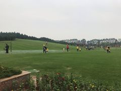 -迪茵湖田家舍生态农场