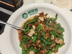 -绿草地·湘菜(7mall店)