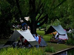 -上海共青森林公园