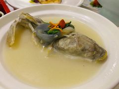 养颜白汁河豚-肆月河豚·新淮扬(金融街店)