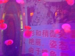 -青岛嘉年华主题乐园