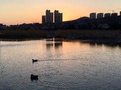 景点-前关湿地公园