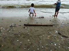 -宝安西湾红树林湿地公园