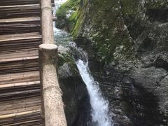 -牛背梁国家森林公园