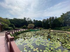 -广州莲花山旅游区