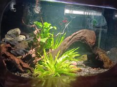 -太平洋海底世界