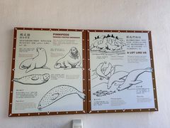 -香港海洋公园