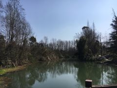 -桤木河湿地公园