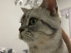-达爱动物医院·犬猫分区·CT·复杂眼科(远洋山水分院)