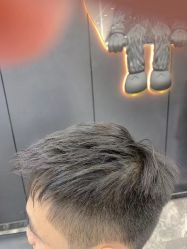 -藤野造型